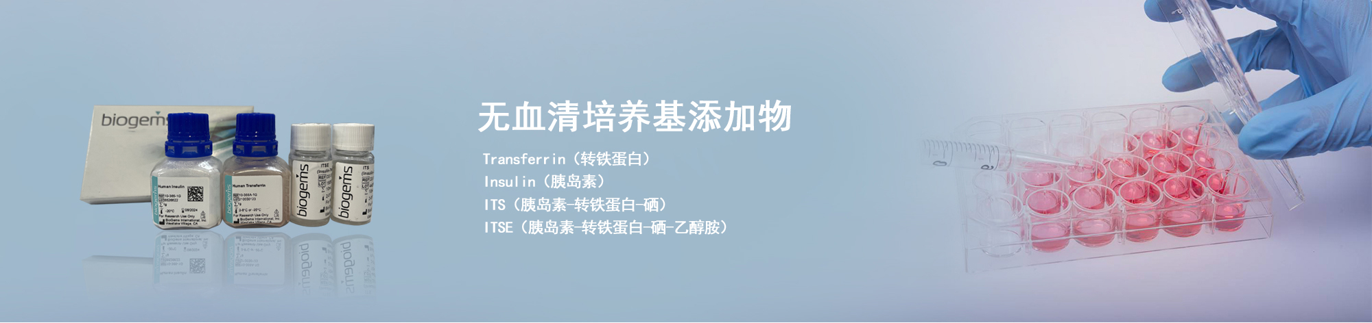奕赛生物主营红细胞裂解液、重组转铁蛋白、T细胞扩增、ITSE